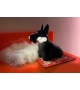 Scottie Qeeboo Floor Lamp