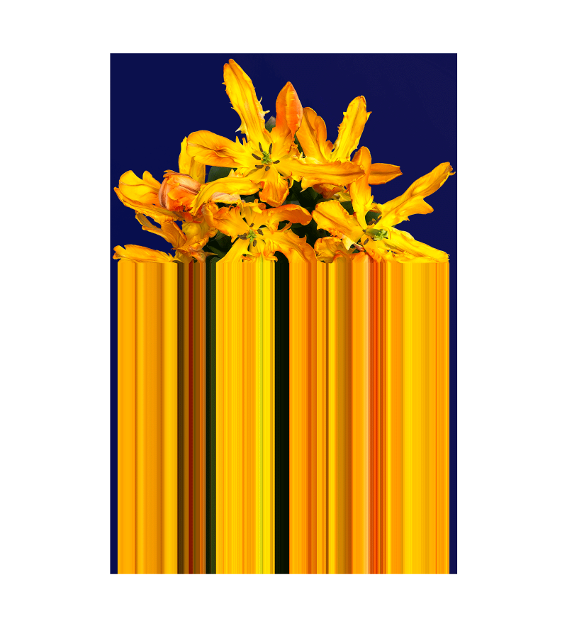 Glitch Yellow Rectangular Qeeboo Alfombra