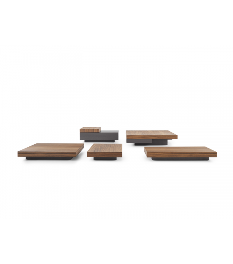 Marteen Molteni & C Coffee Table