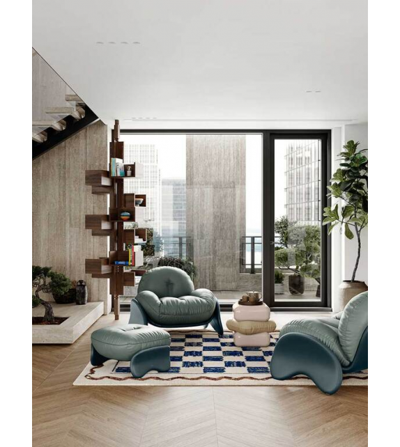 Albero Poltrona Frau Bookcase