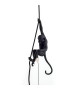 The Monkey Lamp Seletti Lustre