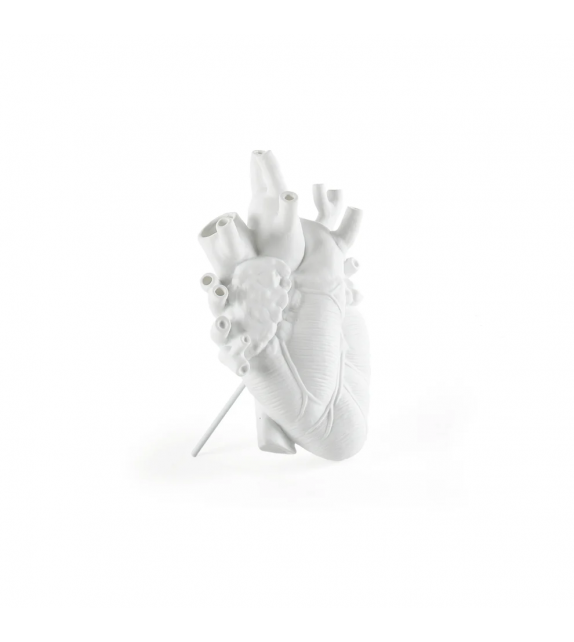 Love in Bloom White Seletti Vaso