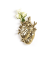 Love in Bloom Gold Seletti Vase
