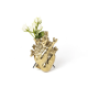 Love in Bloom Gold Seletti Vaso