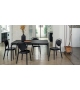 Parisienne Calligaris Silla