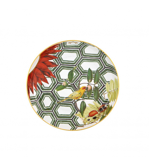 Amazonia Vista Alegre Centerpiece