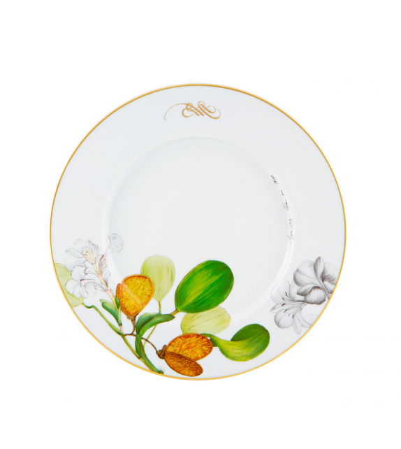 Amazonia Vista Alegre Assiette de Diner