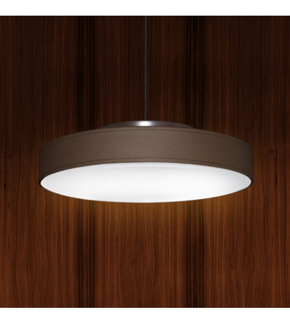 Discus Contardi Applique