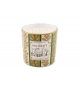 Fox Thicket Folly Ginori 1735 Kerze