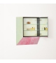 Remis Glas Italia Miroir avec Rangement