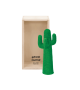Ready for shipping - Cactus Guframini Miniature