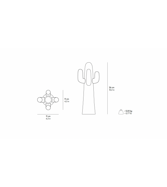 Ready for shipping - Cactus Guframini Miniature