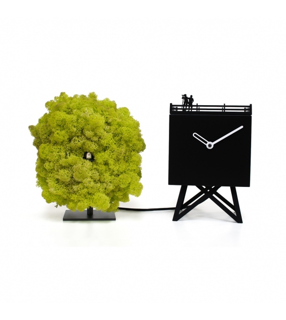 Birdwatching Horloge Progetti