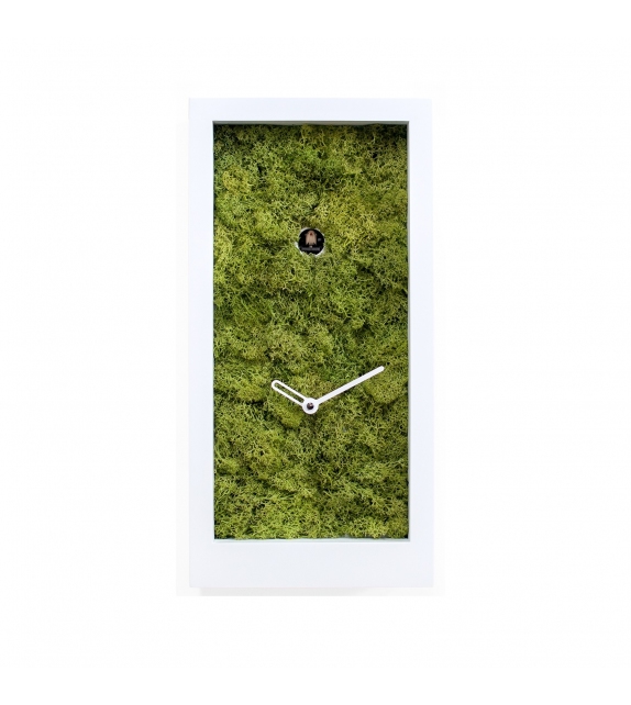 Amazon Progetti Reloj Cucú