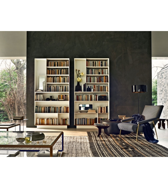 D.357.1 Bookcase Molteni&C