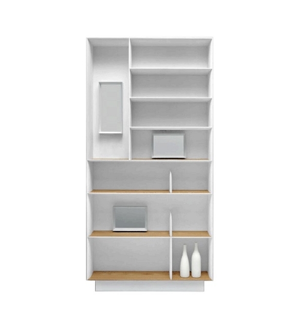 D.357.1 Bookcase Molteni&C