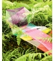 Chaise Longue Tropicalia Moroso