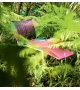 Tropicalia Moroso Chaise Longue
