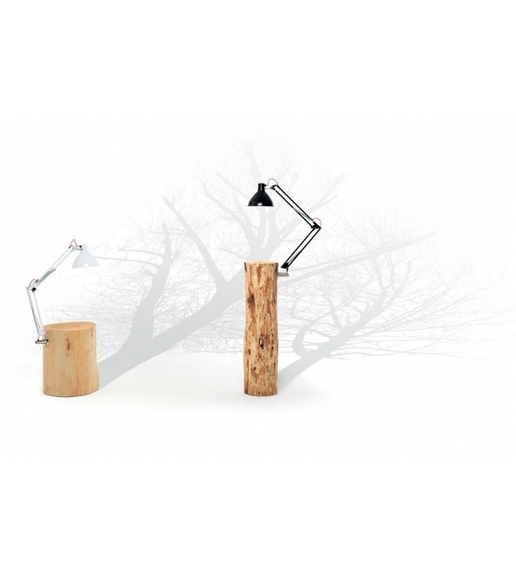 Piantama Table Basse avec Lampe Mogg