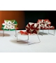 Antibodi Poltrona Multicolor con Petali Moroso