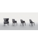 Chelsea Chair with Armrests Molteni&C