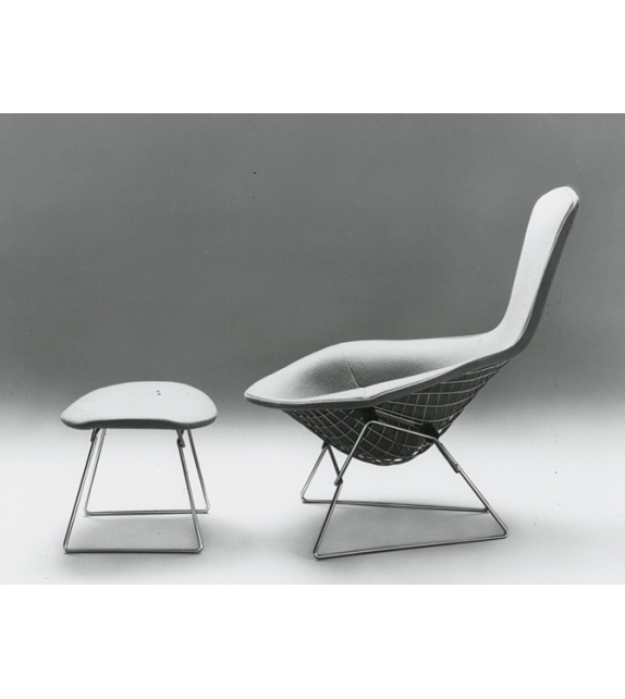 Bertoia Bird Chair Sillòn Knoll