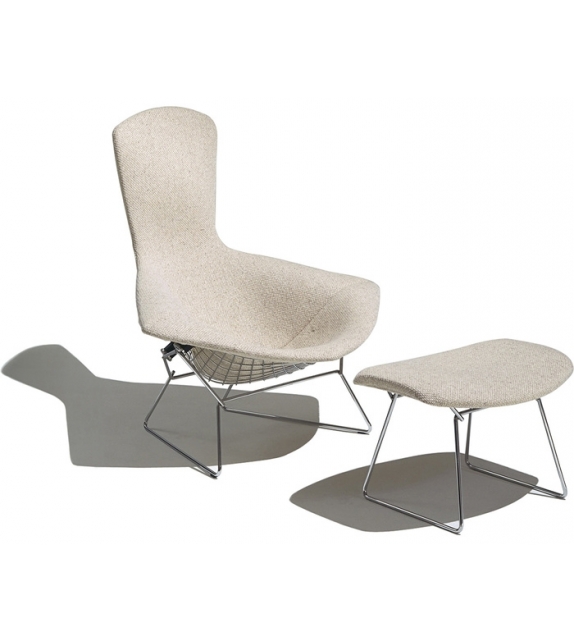 Bertoia Bird Chair Sillòn Knoll