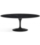 Saarinen Table Basse Oval De Marbre Knoll