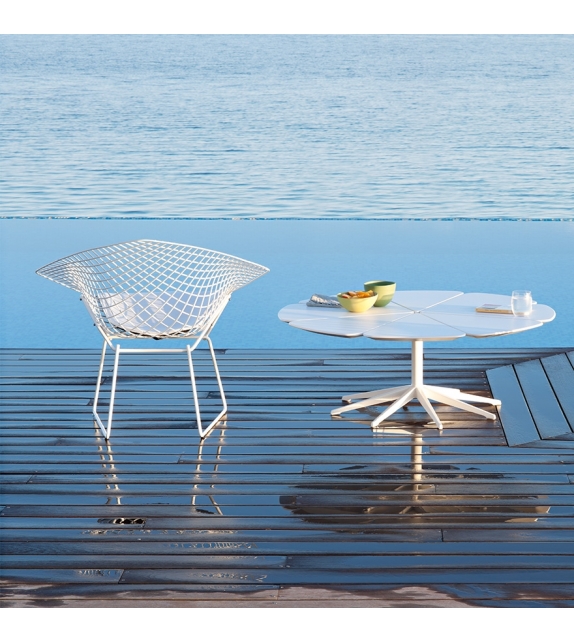 Petal Coffee Table Knoll