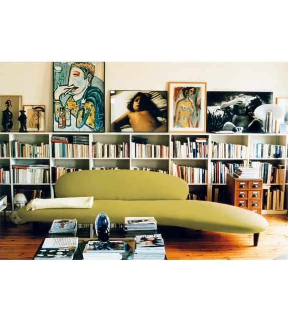 Freeform Vitra Sofa