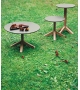 Root 045 Table Basse Roda