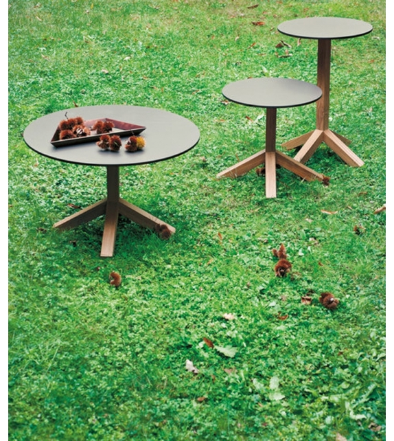 Root 045 Table Basse Roda