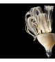 Piume Barovier & Toso Lampada da Parete