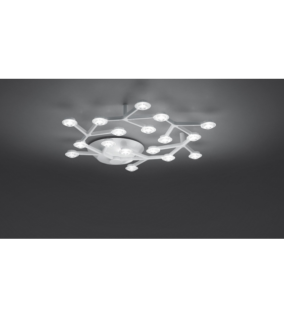 Led Net Circolare Artemide Deckenleuchte