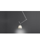 Tolomeo Decentrata Artemide Pendant Lamp