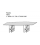 Synapsis Porro Table