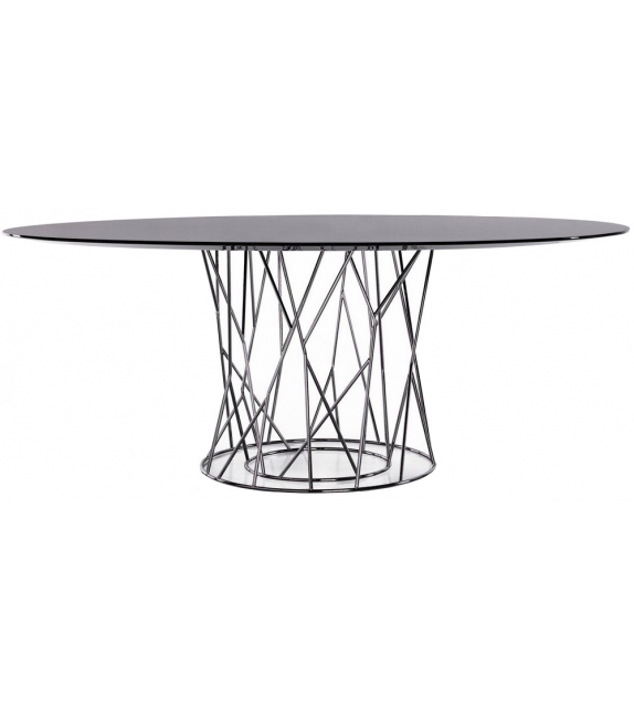 Synapsis Mesa Redonda Porro