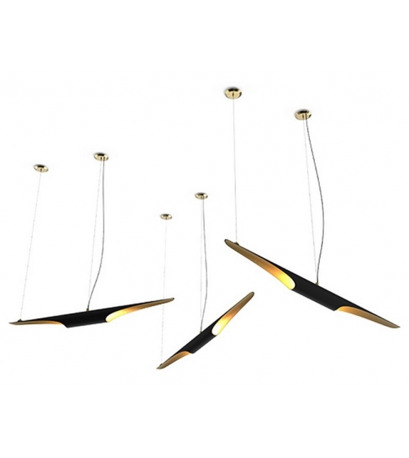 Coltrane DelightFULL Suspension