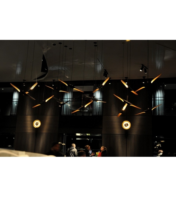 Coltrane DelightFULL Lámpara De Suspensión