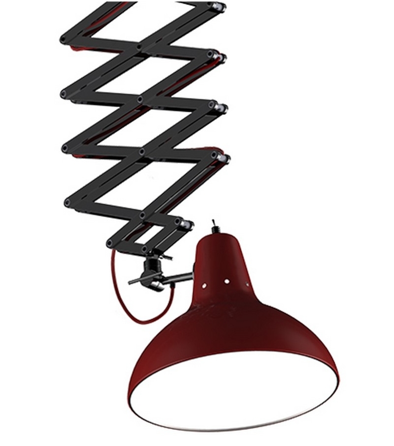 Diana DelightFULL Suspension