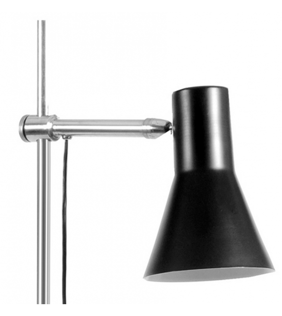 Coleman DelightFULL Lampada Da Terra