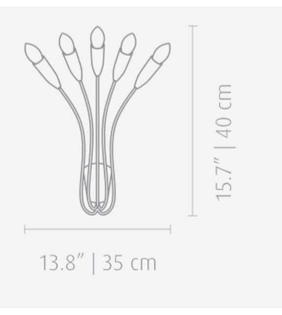 Norah DelightFULL Applique