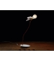 Lucellino LED Ingo Maurer Table Lamp