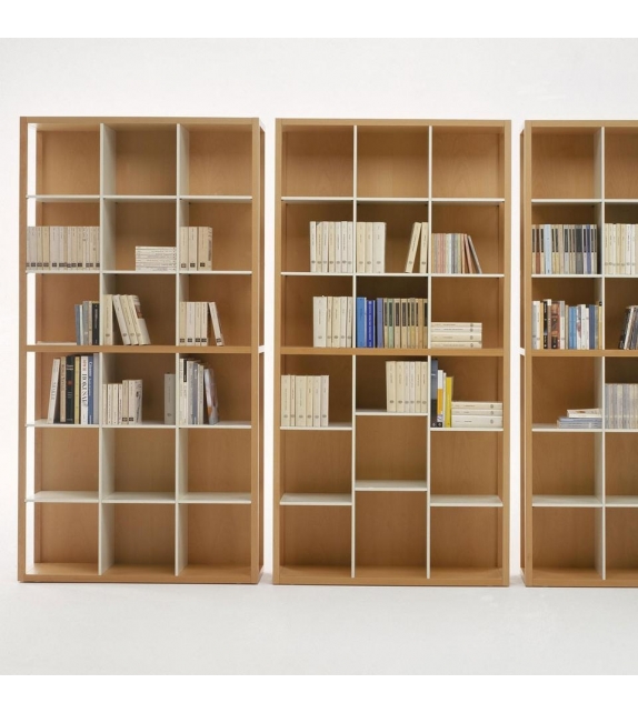 Tani Moto DePadova Librero