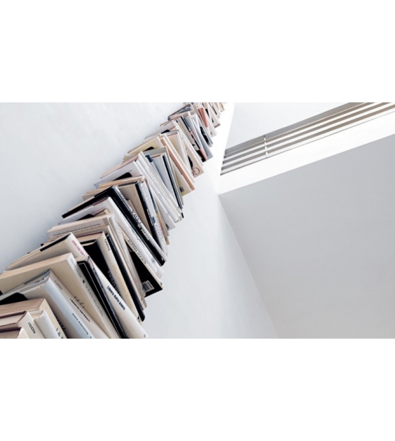 Original Ptolomeo Opinion Ciatti Libreria