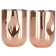 Plum Martini Tom Dixon Set De 2 Verres