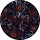 Fool's Paradise Moooi Rug