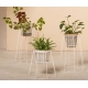 Cibele OK Design Support pour Plante
