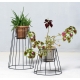 Cibele OK Design Plant Stand
