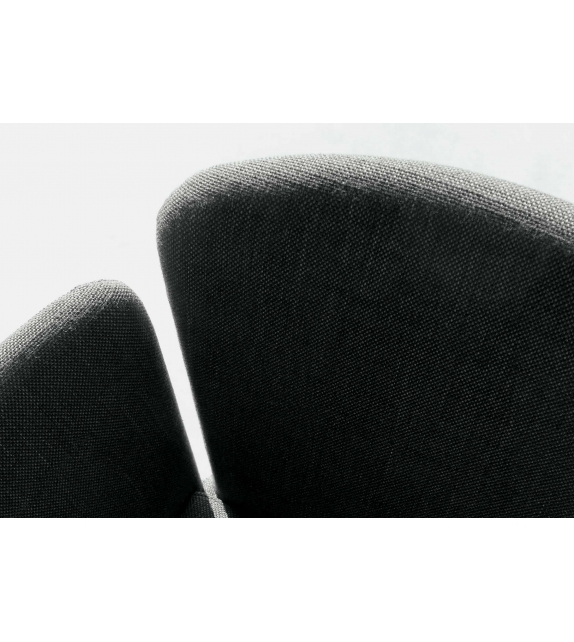 Tabby Lema Petit Fauteuil